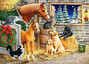 Puzzle 120 Gathering Friends CASTOR