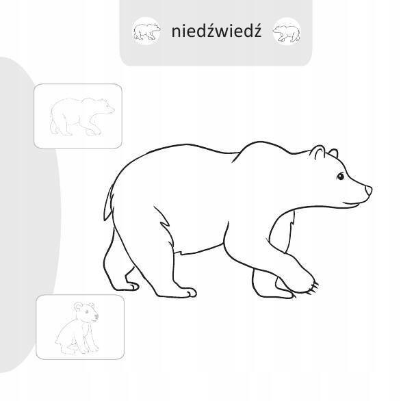 Malowanie-doklejanie. Zwierzęta leśne