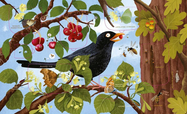 Nasza Księgarnia Rok w lesie