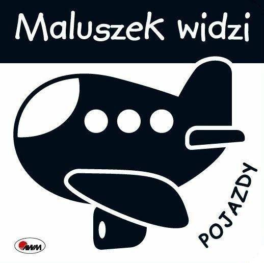 Maluszek widzi. Pojazdy