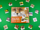 Memory FAUNA POLSKI Gra Pamięciowa Dla Dzieci Pamięć 5+ Adamigo 07738