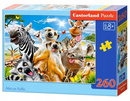 Puzzle 260 Układanka Safari Afryka ZWIERZĘTA Zebra Selfie 8+ Castorland