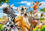 Puzzle 260 Układanka Safari Afryka ZWIERZĘTA Zebra Selfie 8+ Castorland