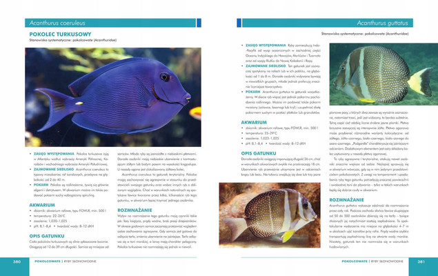 WIELKI ATLAS RYB AKWARIOWYCH Ponad 400 Gatunków Marzenna Kielan SBM