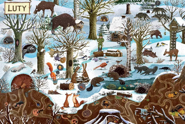 Nasza Księgarnia Rok w lesie