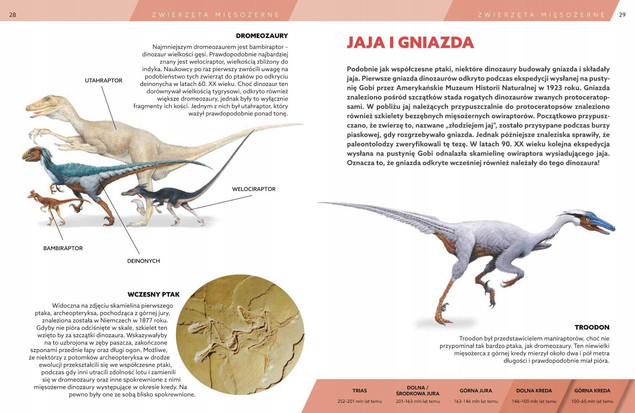Dinozaury. Encyklopedia