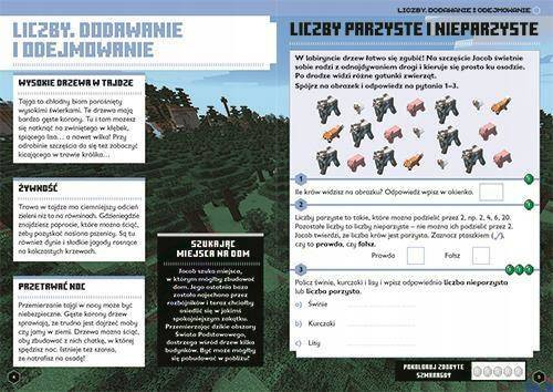 Minecraft. Matematyka. Megazadania 8+