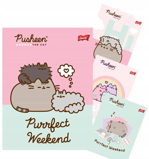 4x Zeszyt PUSHEEN A5 w kolorową linię 32 kartki