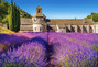 Puzzle 1000 Lavender Field In Provence, France Castorland 