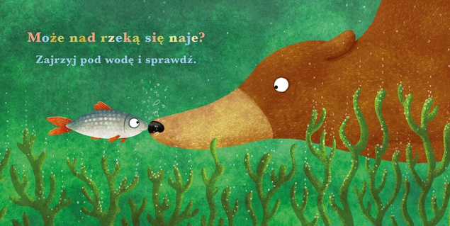Rok W Lesie Niedźwiedź Emilia Dziubak Katarzyna Piętka 0+ Nasza Księgarnia