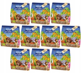 10x BIO Ania Herbatniki Kakaowe Mini Jungle 1kg