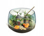 Clementoni Harry Potter - Terrarium 19248