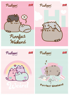 4x Zeszyt A5 32k Kratka Laminowany PUSHEEN Kot Kotek Unipap ZESTAW